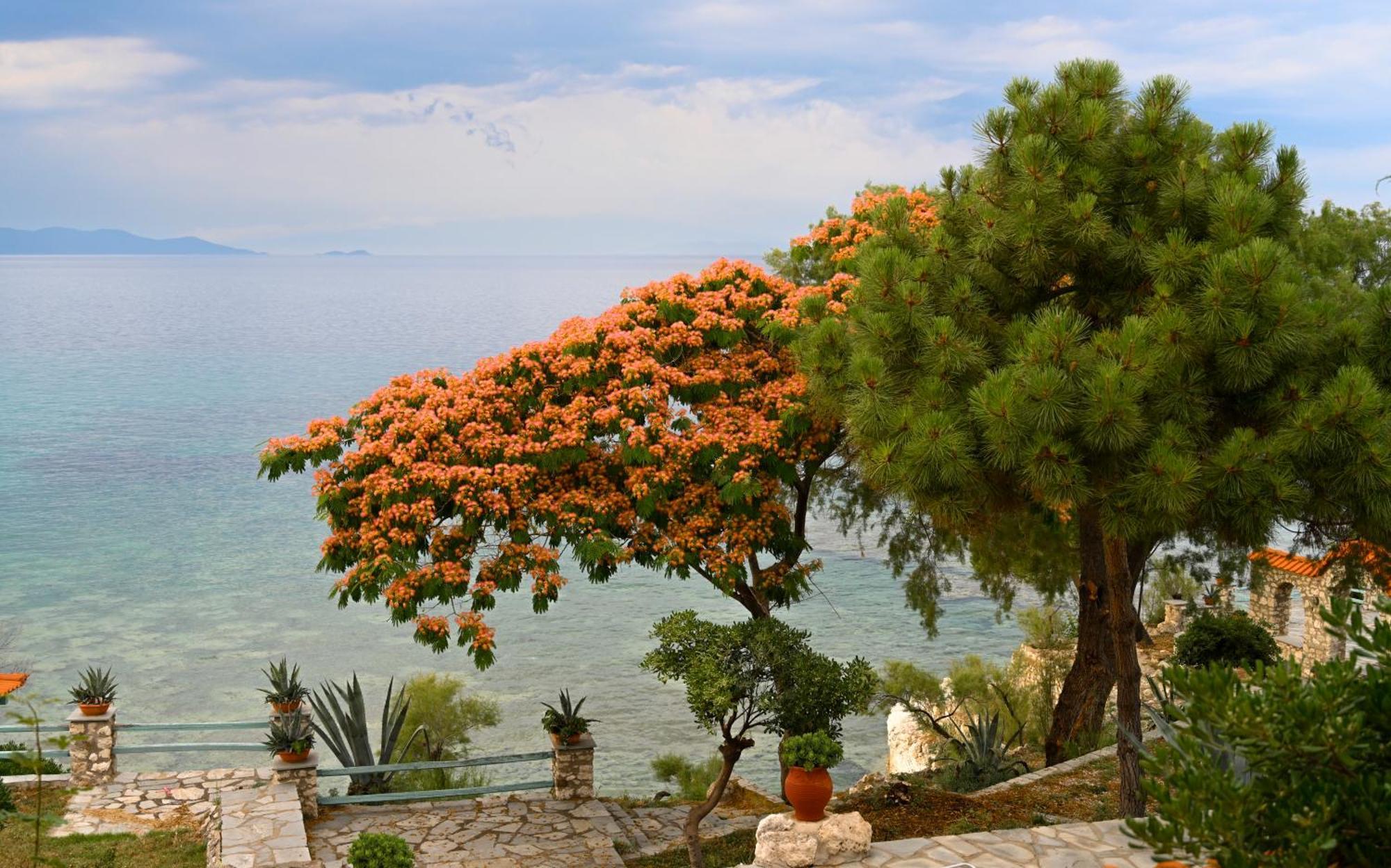 Kiparissi Villa Halkidiki Ierissós Buitenkant foto